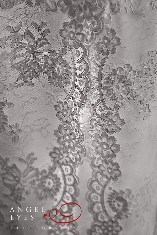 Chicago Botanic Gardens, Wedding Planning north shore Chicago Glencoe Jimmy Choo bridal shoes, Monique Lhuillier Amaranth lace wedding dress, wilmette wedding photographer (2)