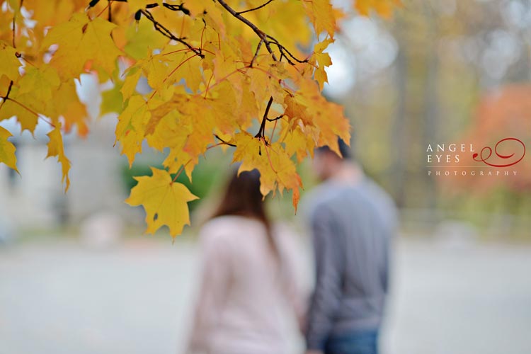 Glenview IL engagement session, Chicago engagement photography, fall photos (1)