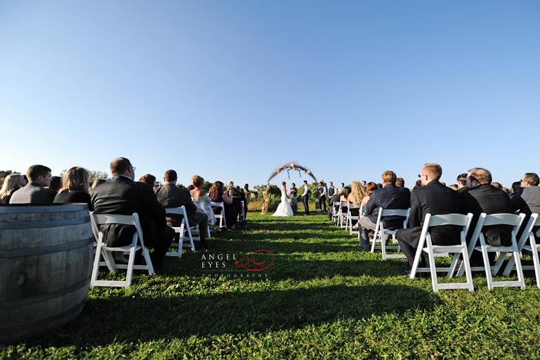 Acquaviva Winery wedding, outdoor  suburban ceremony reception, vineyard Illinois (17)