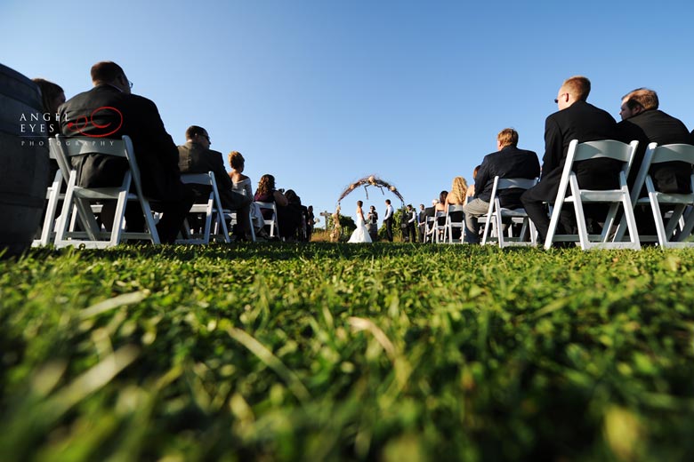 Acquaviva Winery wedding, outdoor  suburban ceremony reception, vineyard Illinois (18)
