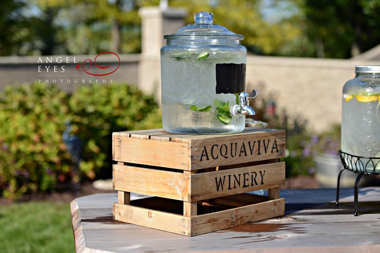 Acquaviva Winery wedding, outdoor  suburban ceremony reception, vineyard Illinois (32)