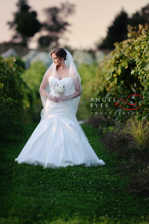 Acquaviva Winery wedding, outdoor  suburban ceremony reception, vineyard Illinois (34)