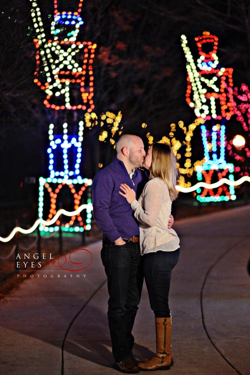 Chicago proposal photographer, Lincoln Park Zoo lights,  Best wedding photographer (10)