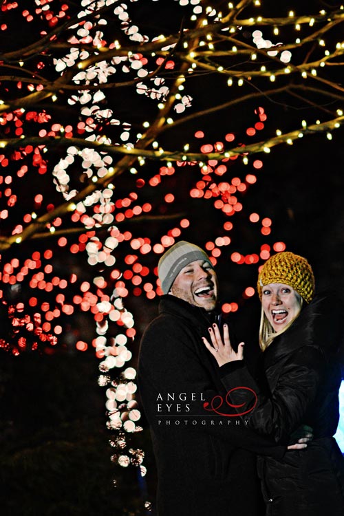 Chicago proposal photographer, Lincoln Park Zoo lights,  Best wedding photographer (13)