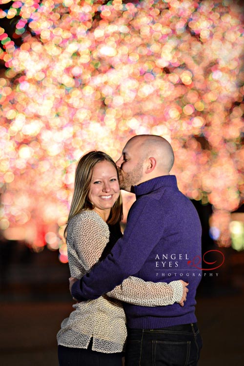 Chicago proposal photographer, Lincoln Park Zoo lights,  Best wedding photographer (15)