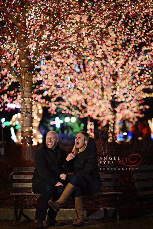 Chicago proposal photographer, Lincoln Park Zoo lights,  Best wedding photographer (16)