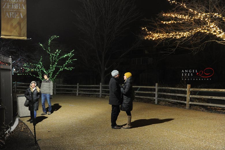 Chicago proposal photographer, Lincoln Park Zoo lights,  Best wedding photographer (2)