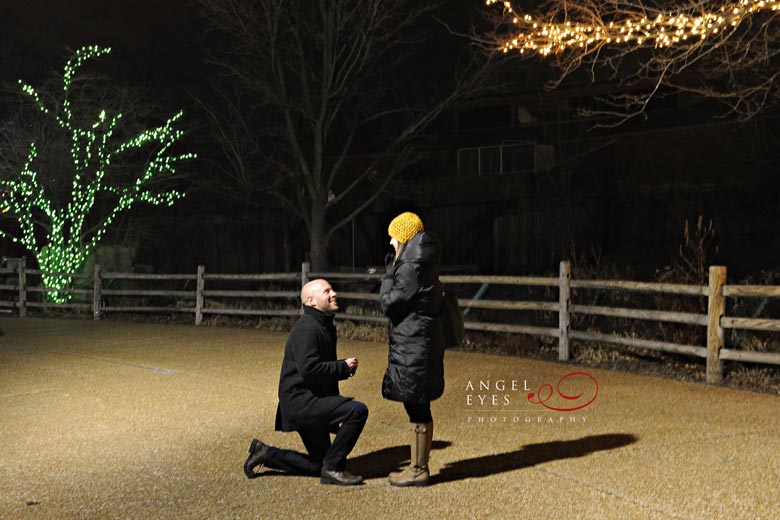 Chicago proposal photographer, Lincoln Park Zoo lights,  Best wedding photographer (3)