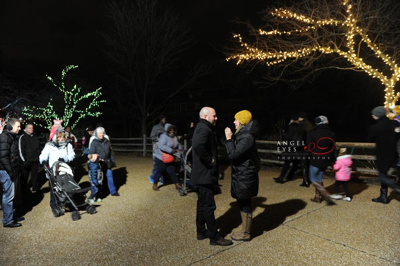 Chicago proposal photographer, Lincoln Park Zoo lights,  Best wedding photographer (4)