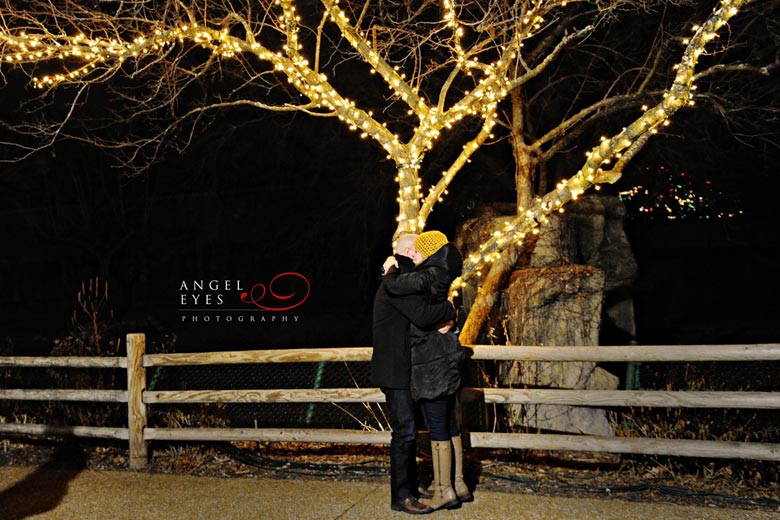 Chicago proposal photographer, Lincoln Park Zoo lights,  Best wedding photographer (5)