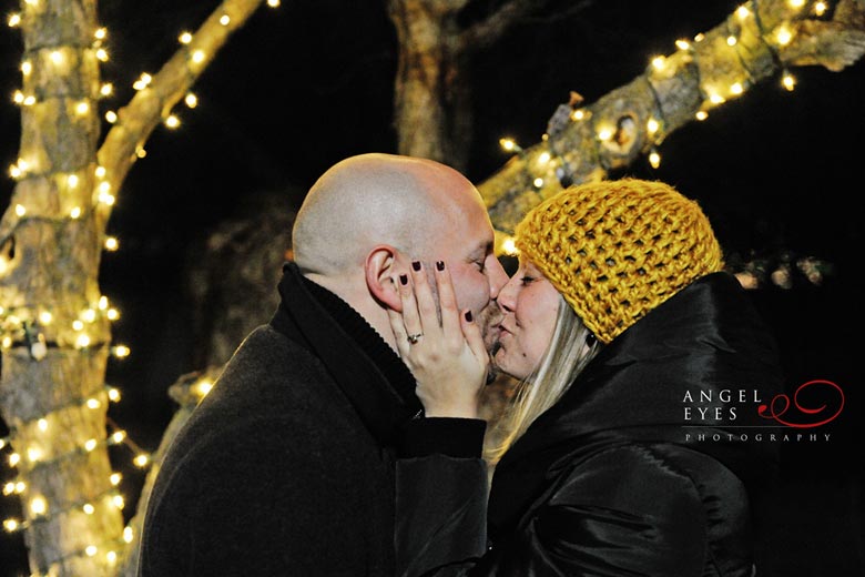 Chicago proposal photographer, Lincoln Park Zoo lights,  Best wedding photographer (6)