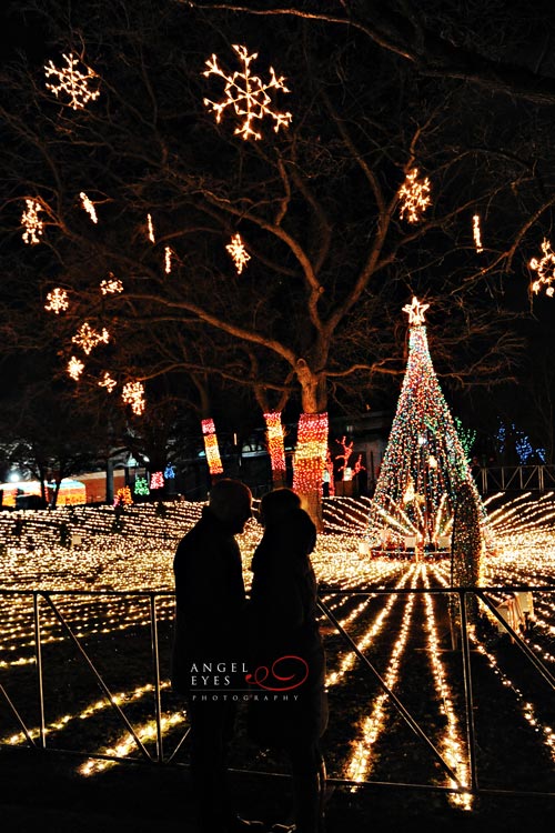 Chicago proposal photographer, Lincoln Park Zoo lights,  Best wedding photographer (7)