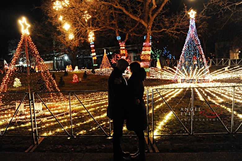 Chicago proposal photographer, Lincoln Park Zoo lights,  Best wedding photographer (8)