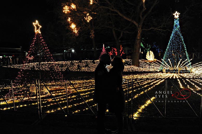 Chicago proposal photographer, Lincoln Park Zoo lights,  Best wedding photographer (9)