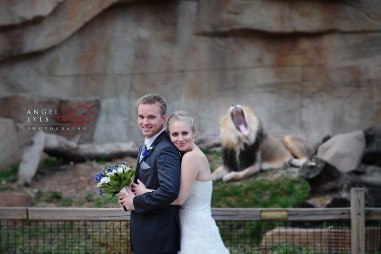Brookfield Zoo wedding &  reception, Fun and different wedding  venue, Angel Eyes Photography Chicago (1)