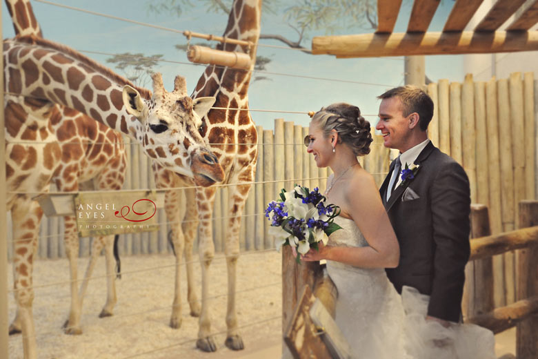 Brookfield Zoo wedding &  reception, Unique wedding  venue, Angel Eyes Photography Chicago (11)