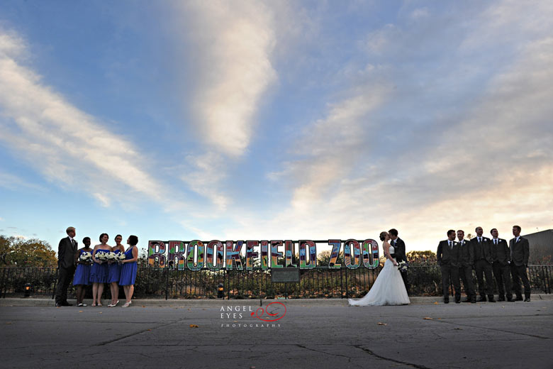 Brookfield Zoo wedding &  reception, Unique wedding  venue, Angel Eyes Photography Chicago (12)