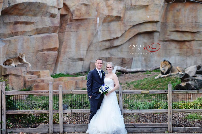 Brookfield Zoo wedding &  reception, Unique wedding  venue, Angel Eyes Photography Chicago (20)