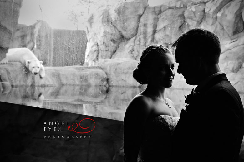 Brookfield Zoo wedding &  reception, Unique wedding  venue, Angel Eyes Photography Chicago (7)