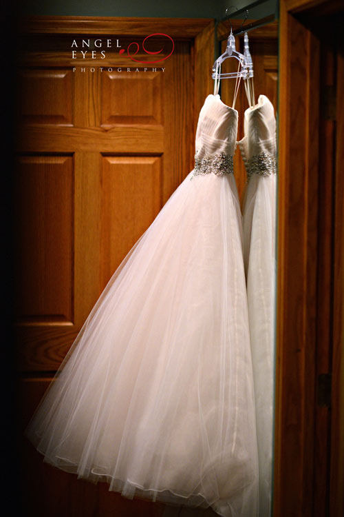 Blush pink wedding dress, Winter wedding photos (2)