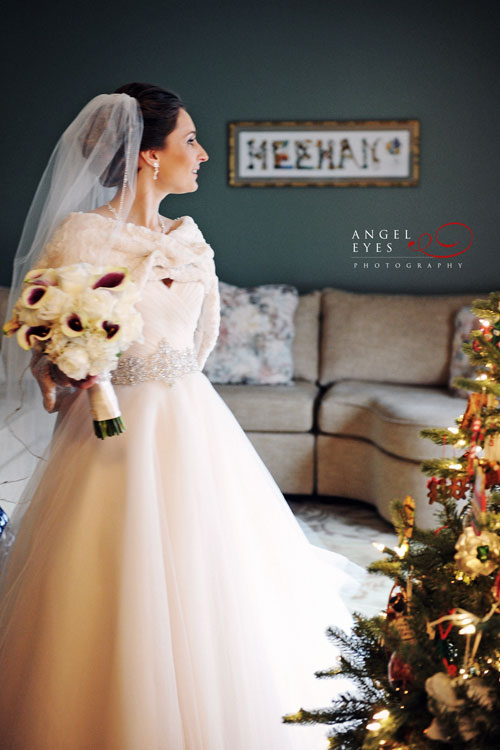 Blush pink wedding dress, Winter wedding photos (7)