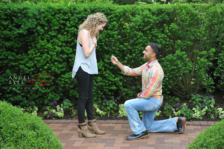 Surprise engagement proposal at the Chicago Botanic Garden, Chicago surprise proposal photographer (1)