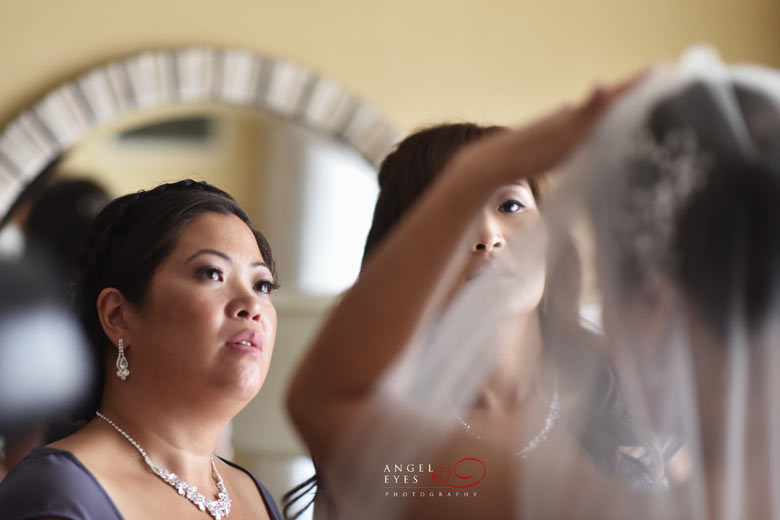 Chicago wedding photographer, Angel Eyes Photography (2)