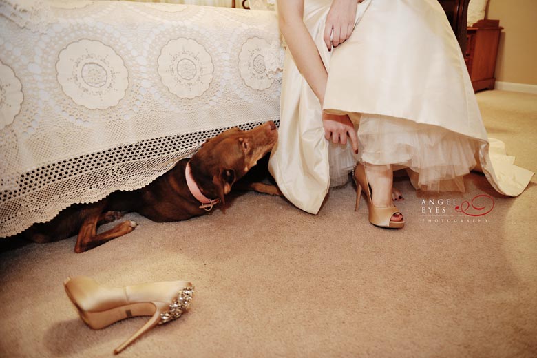 Bride with her dog, Chicago wedding photographer, Bridal shoes (4)