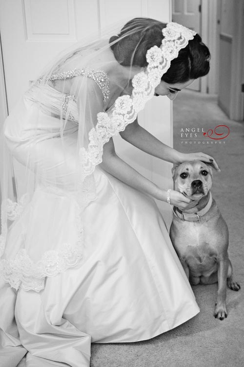 Bride with her dog, Chicago wedding photographer, Bridal shoes (5)
