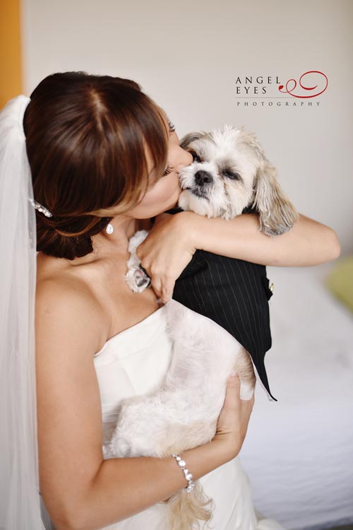 Meson Sabika wedding ceremony and reception. Naperville wedding photos photographer, Dog usher, puppy in tuxedo (15)