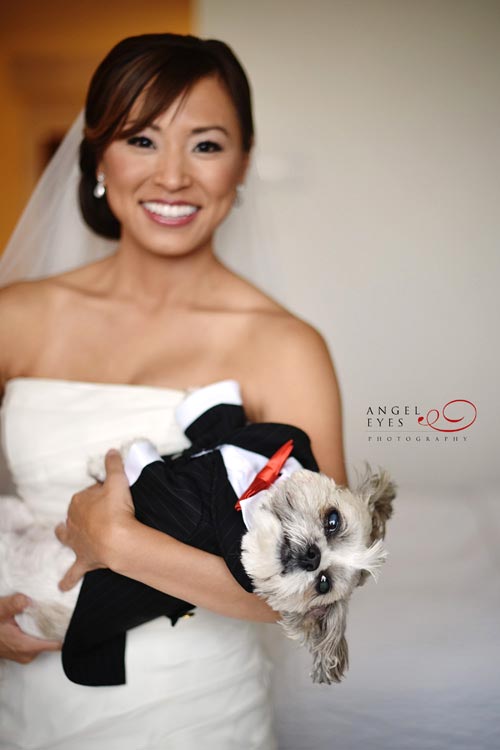 Meson Sabika wedding ceremony and reception. Naperville wedding photos photographer, Dog usher, puppy in tuxedo (16)