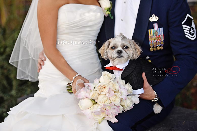 Meson Sabika wedding ceremony and reception. Naperville wedding photos photographer, Dog usher, puppy in tuxedo (17)