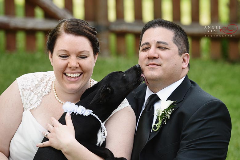 Bride and Groom with puppy (2)