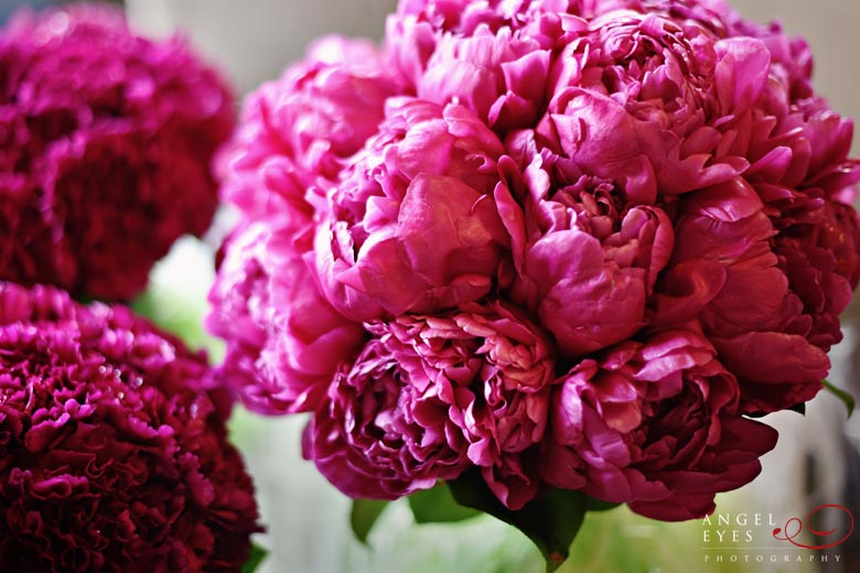 wedding-flowers-bella-flora-chicago-flost-hot-pink-fuchsia-bouqet