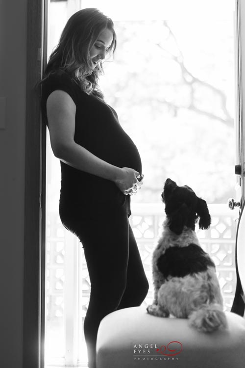 chicago-maternity-photos-studio-photographer-pregnancy-photos-with-family-pet-2