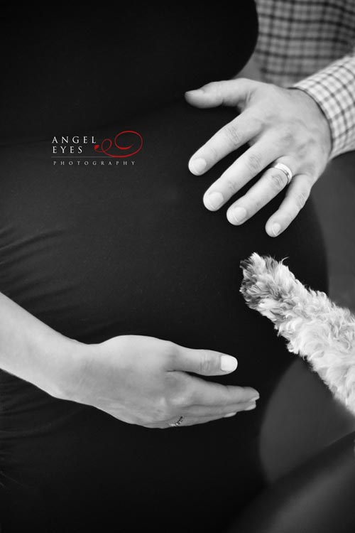 chicago-maternity-photos-studio-photographer-pregnancy-photos-with-family-pet-4